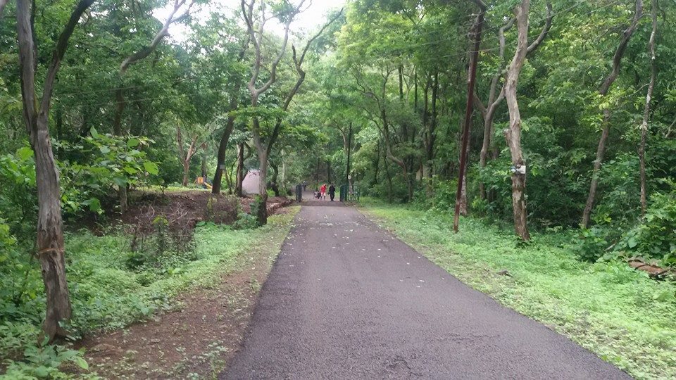 11012785_1090792820948346_7245913682995528183_n