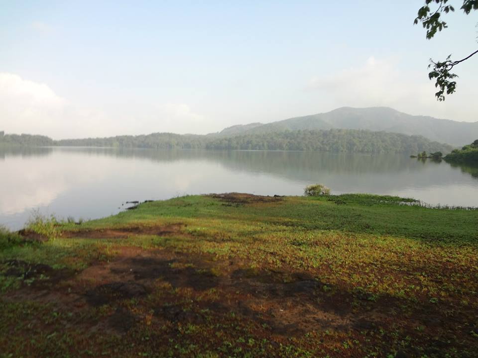 11102797_1030647106962918_3033034948267684956_n