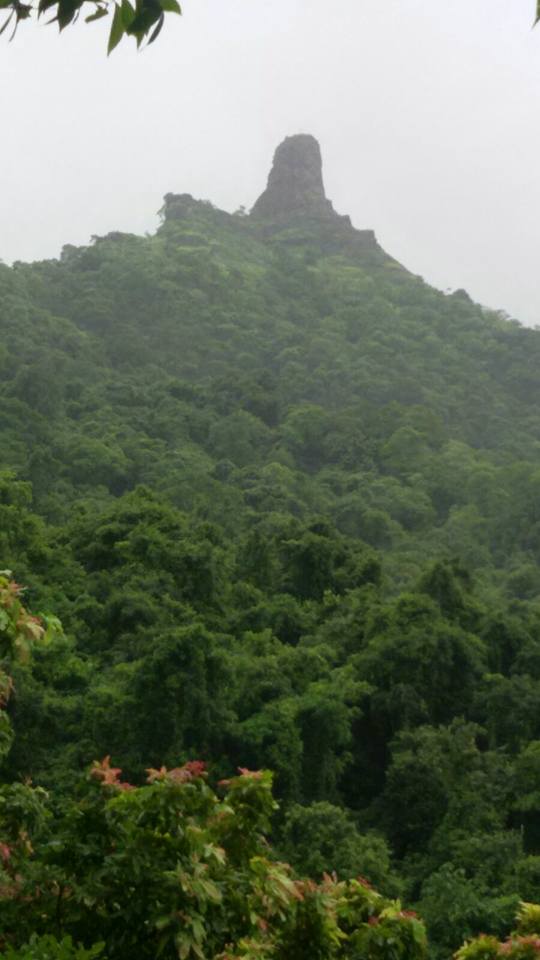 12644986_10153309408633093_1207039388508477249_n