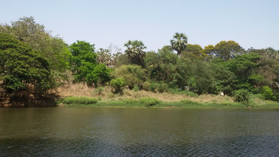 1623398_1030645743629721_8632630862639014231_n