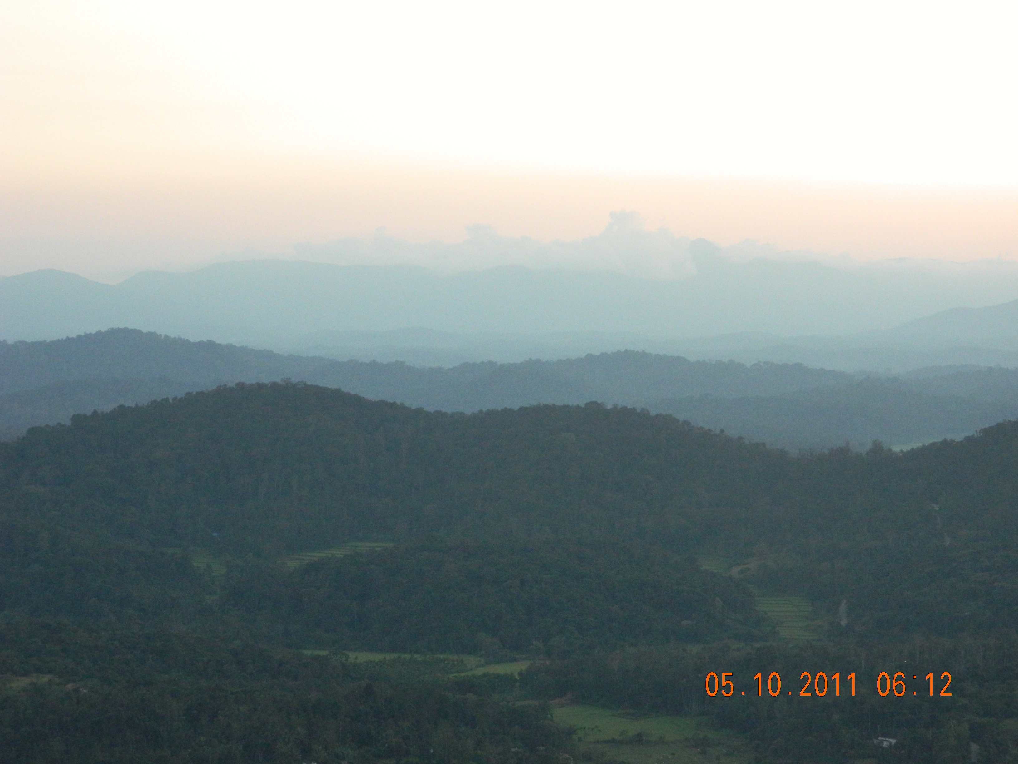 coorg-443