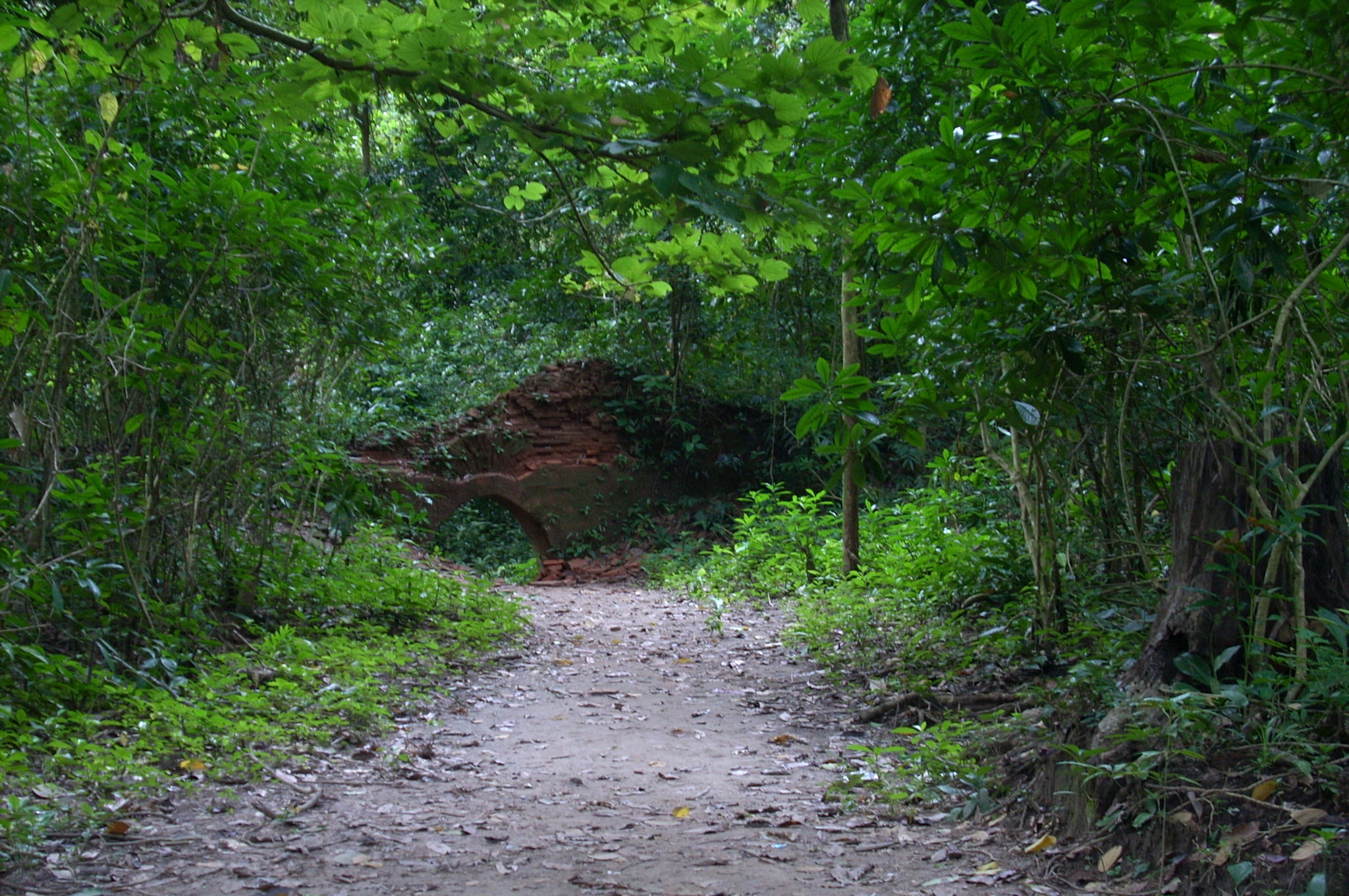 North-Bengal-Trip-363_n